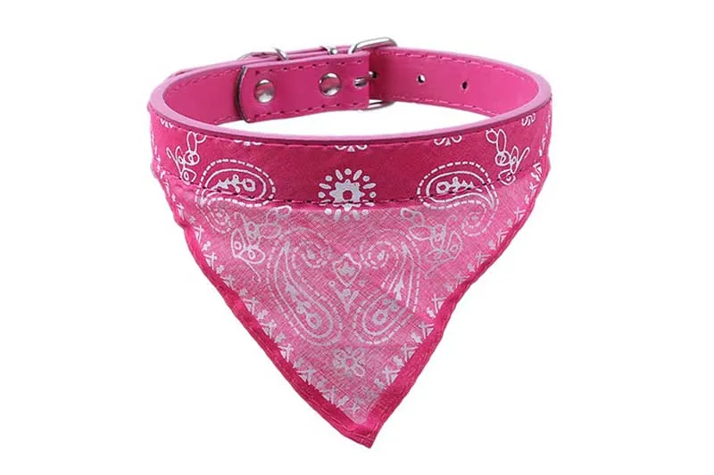 6 Scarf Collars