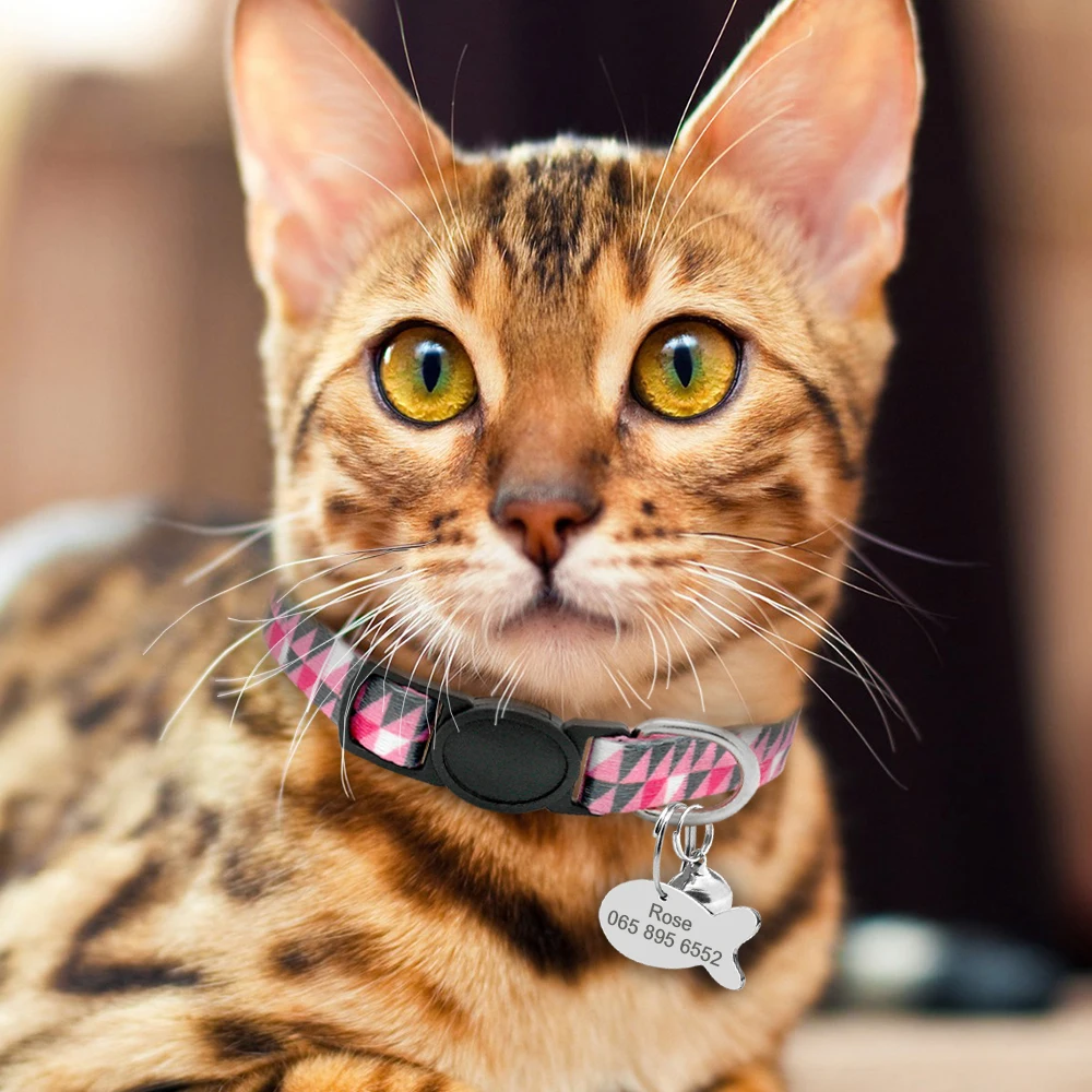Быстроразъемный ошейник для кошки с колокольчиком, персонализированный ошейник для котенка, безопасное ожерелье для кошек, Выгравированная идентификационная табличка