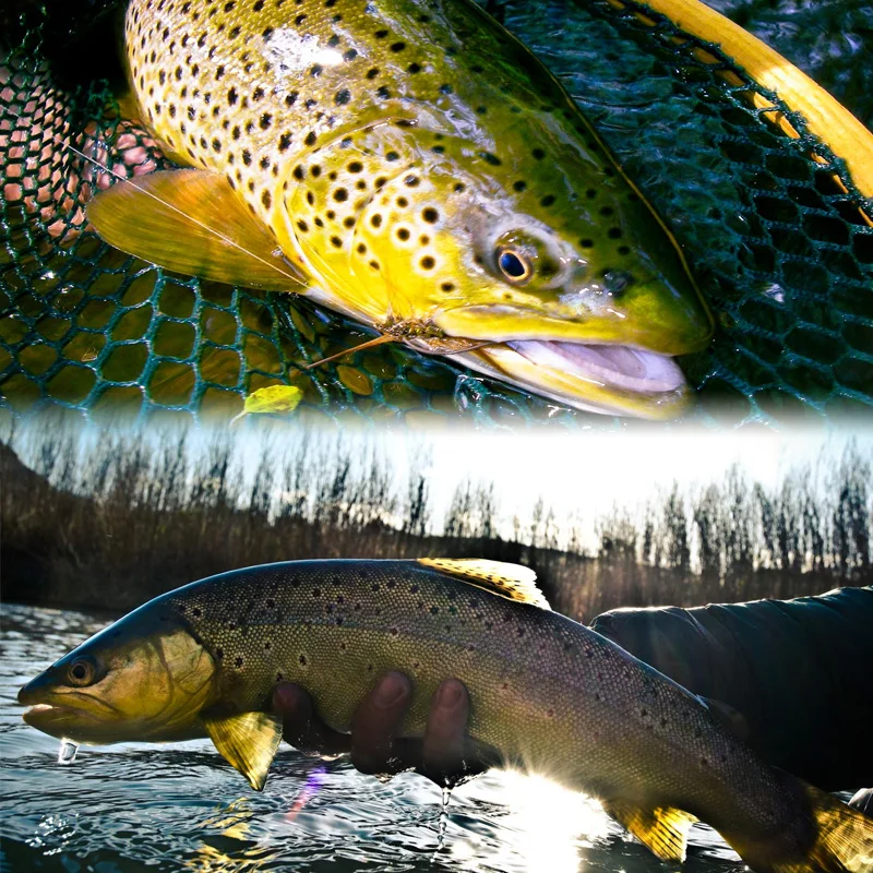 Promo 184 unids Wet Dry Nymph Fly Fishing Lure Box Set Fly Tying Material Bait Fake Flies for Trout grises Panfish aparejos de pesca