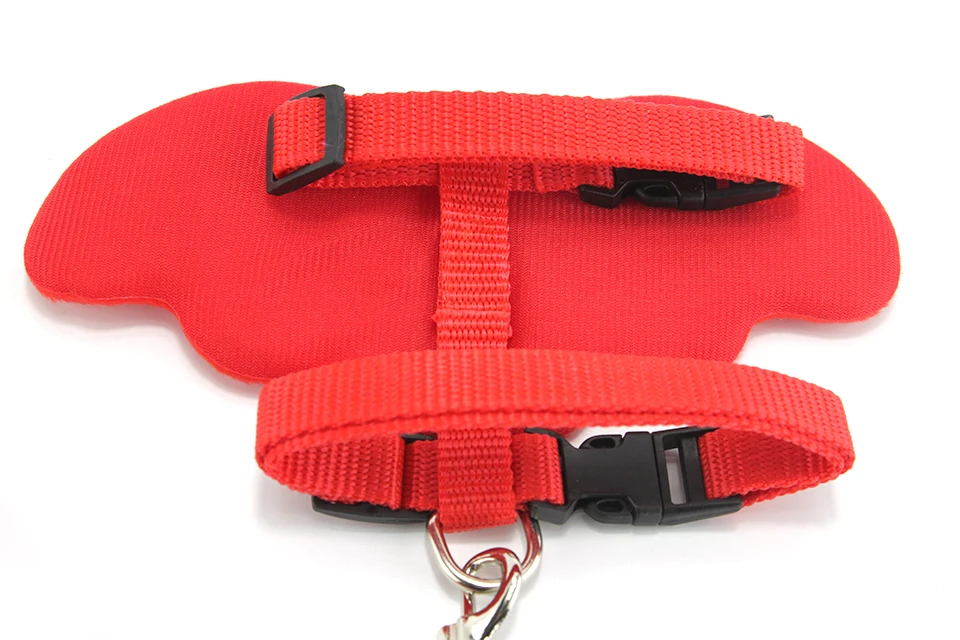 Cute Dog Leash Collar Sets Angles Wings Design Pet Dog Leash Lead For Small Dogs Cats Adjustable Dog Harness Outdoor Pet Product 101