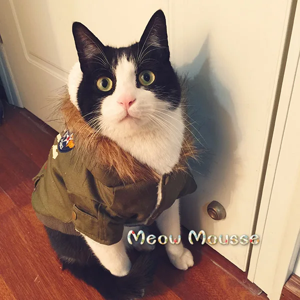 NEW Camo Warm Winter Cat Coat Jacket Fleece Inside Pet Clothes Dog Coat Hood Button Clsoure 2 Color XS S M L XL NEW Camo Warm Winter Cat Coat Jacket Fleece Inside Pet Clothes Dog Coat Hood Button Clsoure 2 Color XS S M L XL