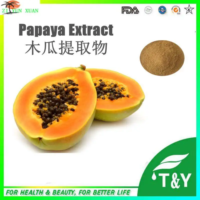 

wholesale Professional Products Papaya Seed Extract, Papaya Seed Extract Powder 1000g/lot for free shipping