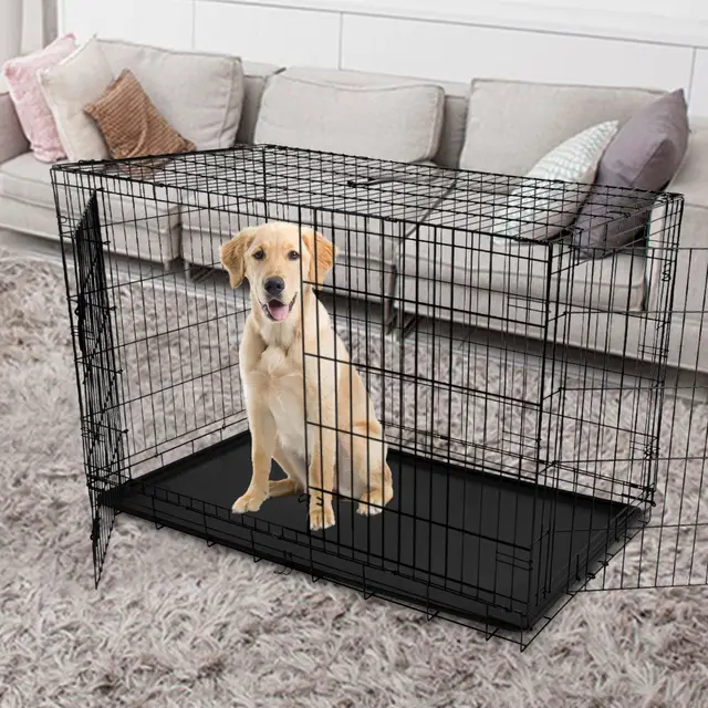 Large Dog Crate Midwest Life Stages Double Door Folding Metal Dog