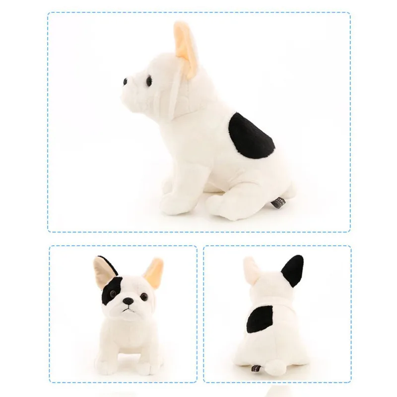 BB1685-1686(11)