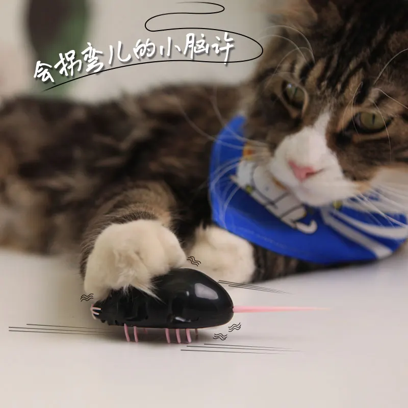 

[MPK Store] Battery Operated Cat Toy, Black Ant/Mouse, White Ant/Mouse, Electric Fast Moving Toy, Cats-go-crazy Toy Series