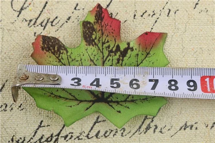 3047965393_1771322019