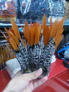 

New! wholesale 50 pc / lot of Lady Amherst Pheasant tail feathers, 6-8 "/ 15-20cm DIY Jewelry Decoration Accessories