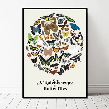 

A KALEIDOSCOPE OF BUTTERFLIES Canvas Art Print Wall Pictures for Living Room No Frame
