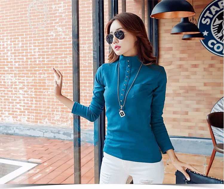2016 Fashion Autumn & Spring Blusa Women Turtleneck Warm Winter Tops Slim Casual Long Sleeve T Shirt For Women Plus Size A733 h