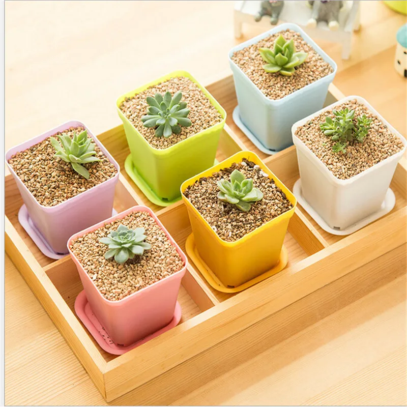 10pcs/lot 7*7*8cm random color Flower Pots and pot trays Plastic Creative Small Square for Succulent plants | Дом и сад