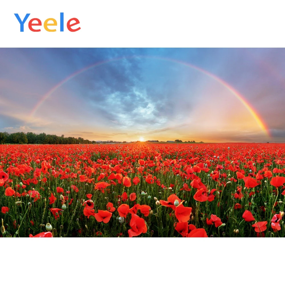 

Yeele Tulip Flower Sea Rainbow Sunset Scene Props Portrait Background Photography Banner Photographic Backdrops For Photo Studio