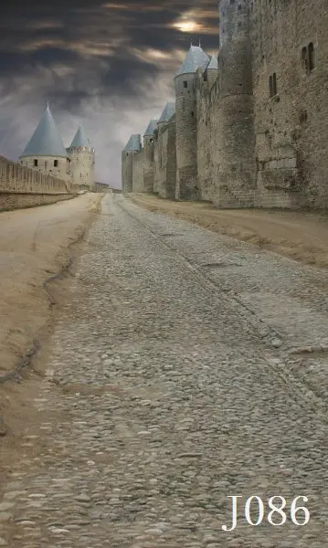 

3*5M Art Cloth Custom Photography Backdrops Prop Nature theme Studio Background J-086