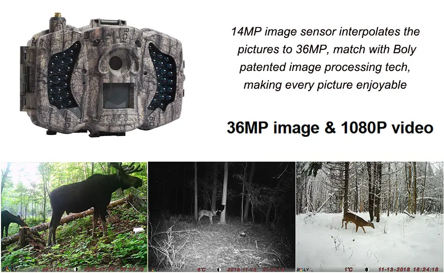MG983G-36M-trail-camera-des-2