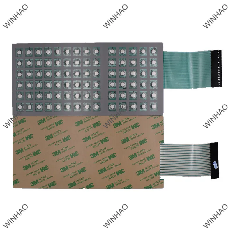 BCII  (3)_800