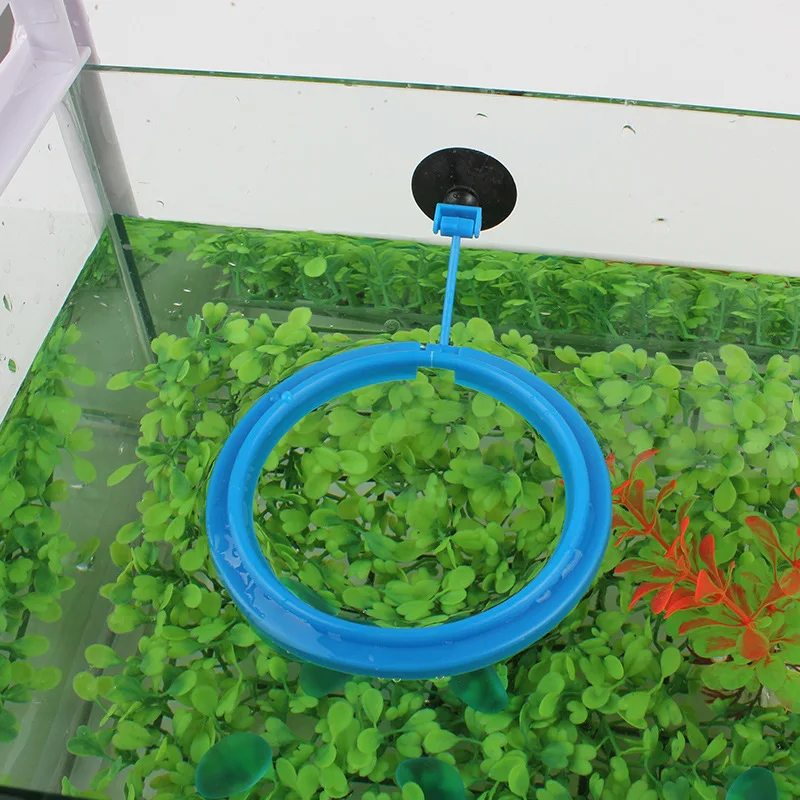 Fish Tank Station Food Feeder Square/Circle Suspension Feeding Ring