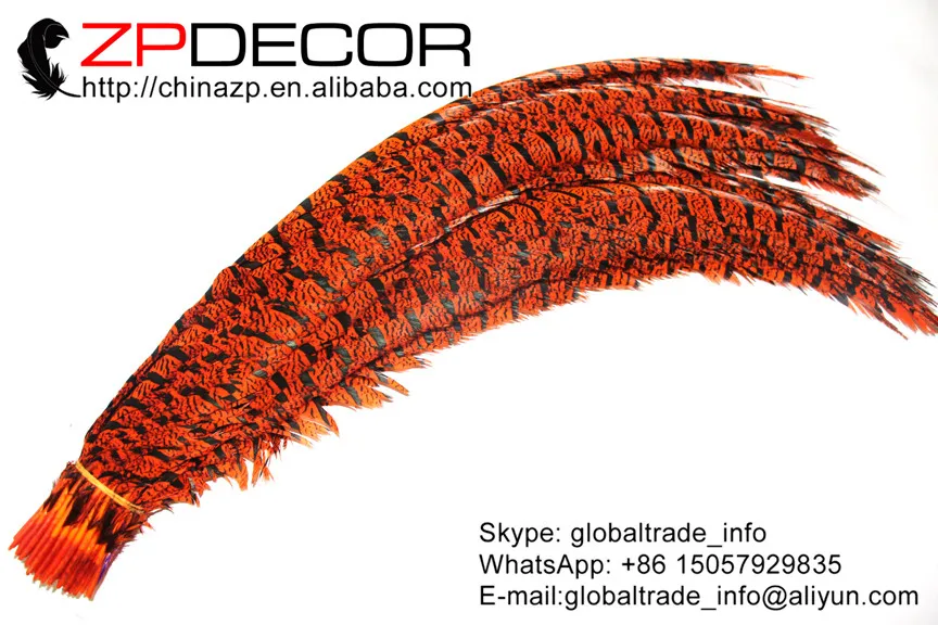 Zpdecor 36-40 дюймов(90-100 см) 100 шт./лот окрашенный оранжевый Зебра Алмазный фазан перья фазана для карнавального Шоу Украшения