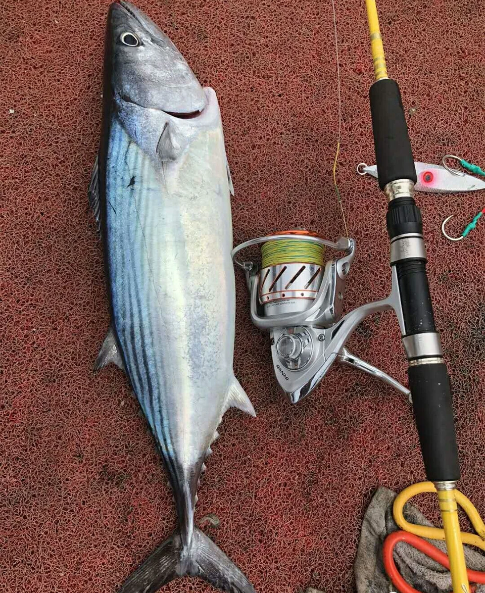 RYOBI RANMI PINGHAI Fishing Reel spinning reels 1000-8000 series 5.1:1/5.0:1 Gear Ratio MAX DRAG 10kg Ocean Boat Fishing wheels