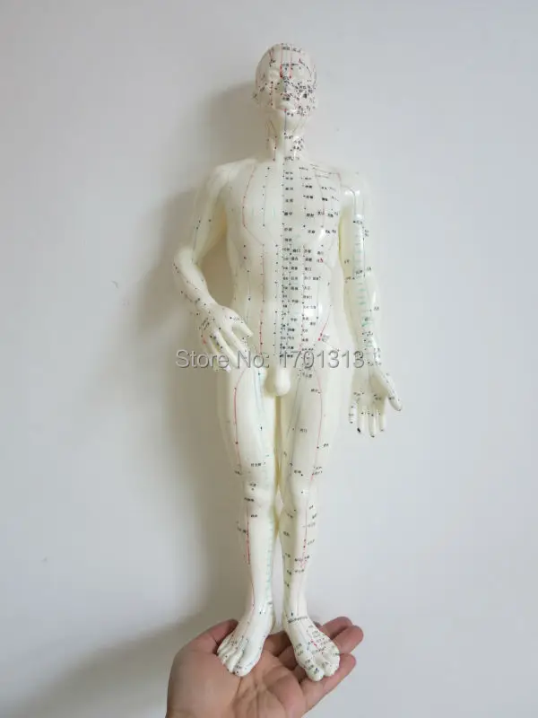 

Soft PVC Human acupuncture model for herbalist doctor figurine body Chinese Acupuncture clear meridians acupuncture point