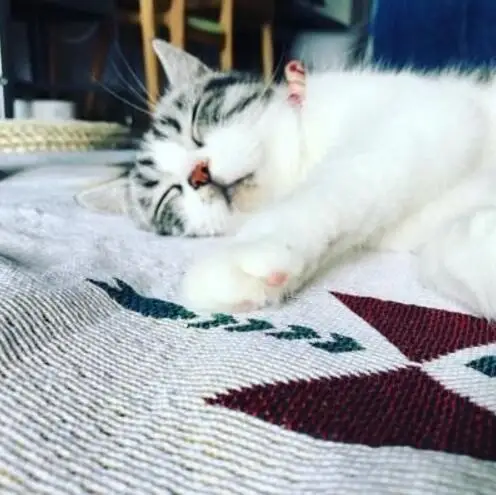 Northern Europe Gree Sofa Blanket Geometric  Carpet For Living Room Bedroom Rug Bedspread Dust Cover Table Cloth Tapestry