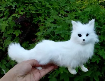 simulation white fox with long tail,hard model,polyethylene&fur 25x7x15cm fox toy prop 1625
simulation white fox with long tail,hard model,polyethylene&fur 25x7x15cm fox toy prop 1625