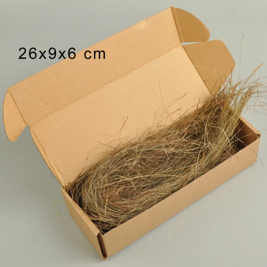 architecture new model grass (6)