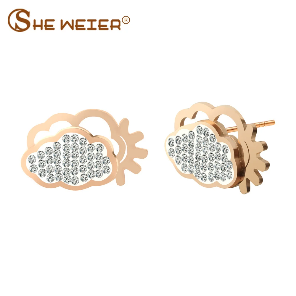 SHE WEIER Stainless Steel Earrings Female Stud Earrings for Women