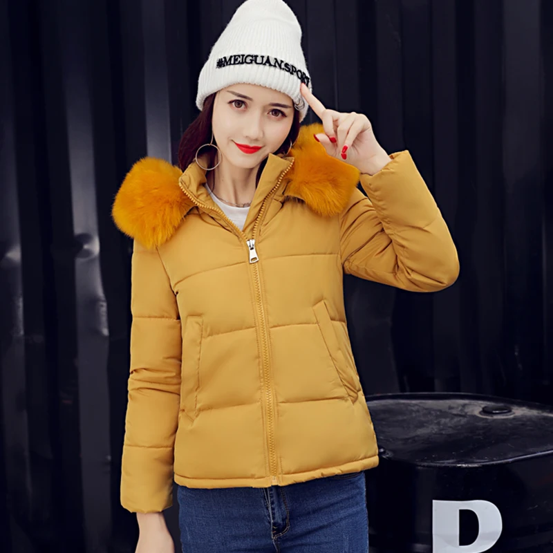 2018 new fashion Big Fur Collar Warm Hooded Autumn Winter Jacket Women womens cotton padded short coat casaco feminino