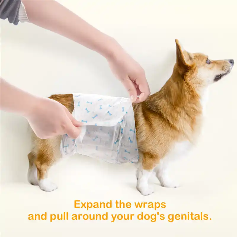 all absorb male dog wraps