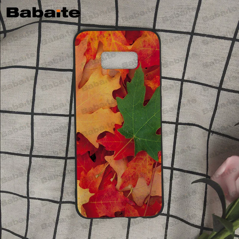 Falling Leaves Maple Leaf autumn
