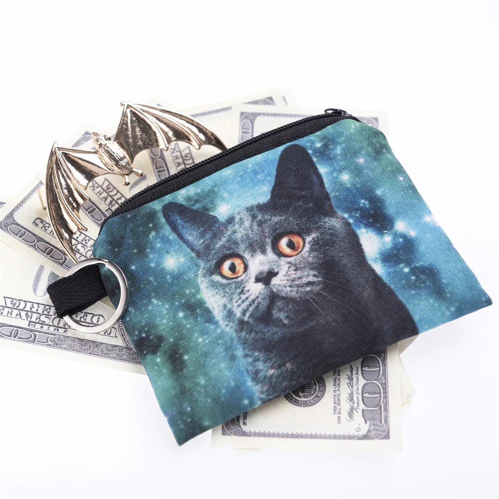 40098 blue cat (1)