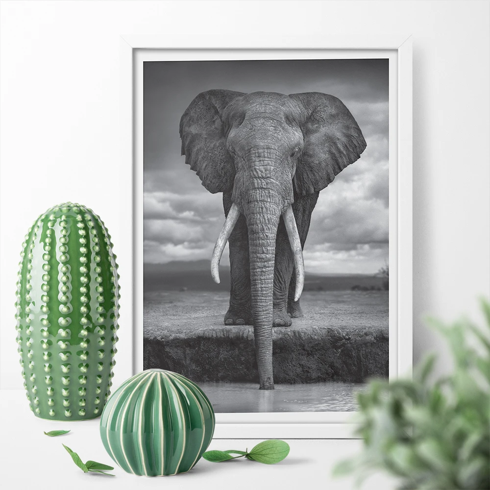 cheap HD Print Black And White Elephant Pictures Poster Print Canvas Painting Aniaml Wall Art Picture For Bed Room No Frame
