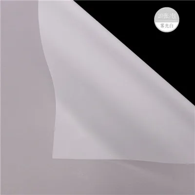 5039595137_796892843