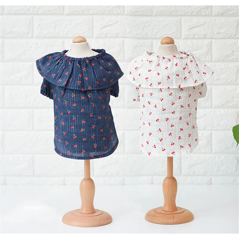 10628608202_1413936237