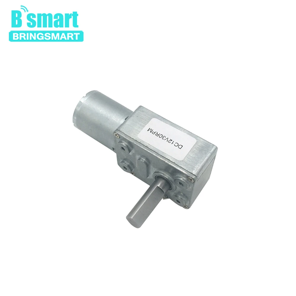

Bringsmart JGY370-D7 Low RPM Speed Reducation DC Worm Geared Motors 24V 8mm Shaft Length 25mm High Torque Turbo Motor