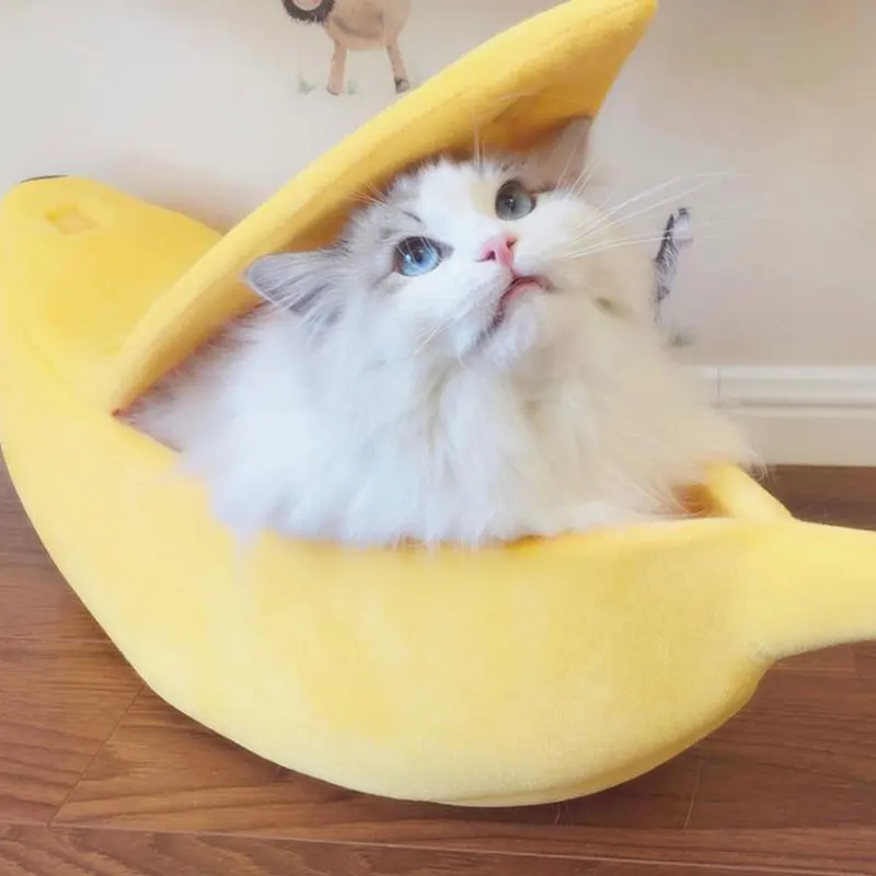 Можно ли кошкам банан. Лежанка банан для кошек. Бананы лежанка для котов. Домик банан для кошки. Лежак для кошки в виде банана.