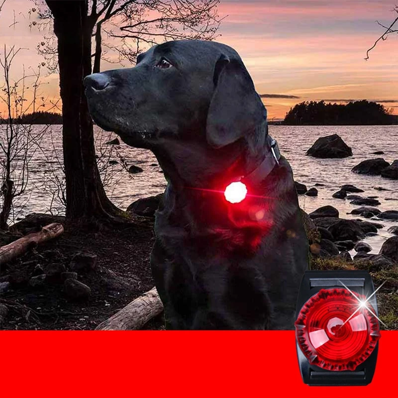 

Dog Bright Collar Pendant Glow In Dark Night Led Flashlight Cat Dog Collar Leads Lights Glowing Pendant Necklace