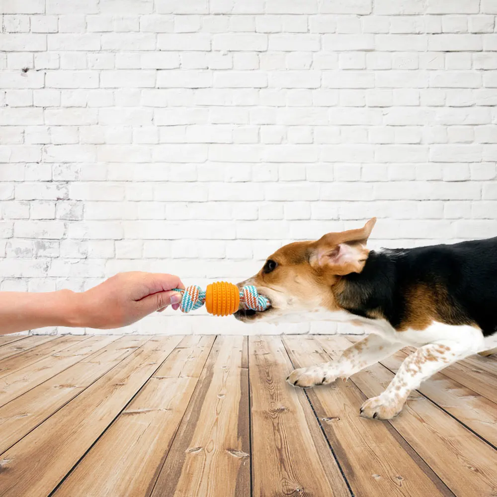 Резиновые игрушки-мячи для собак буксир веревка для жевания Игрушки для маленьких и крупных собак игровое Обучение Забавный интерактивный питомец игрушка для собак Jouet Chien