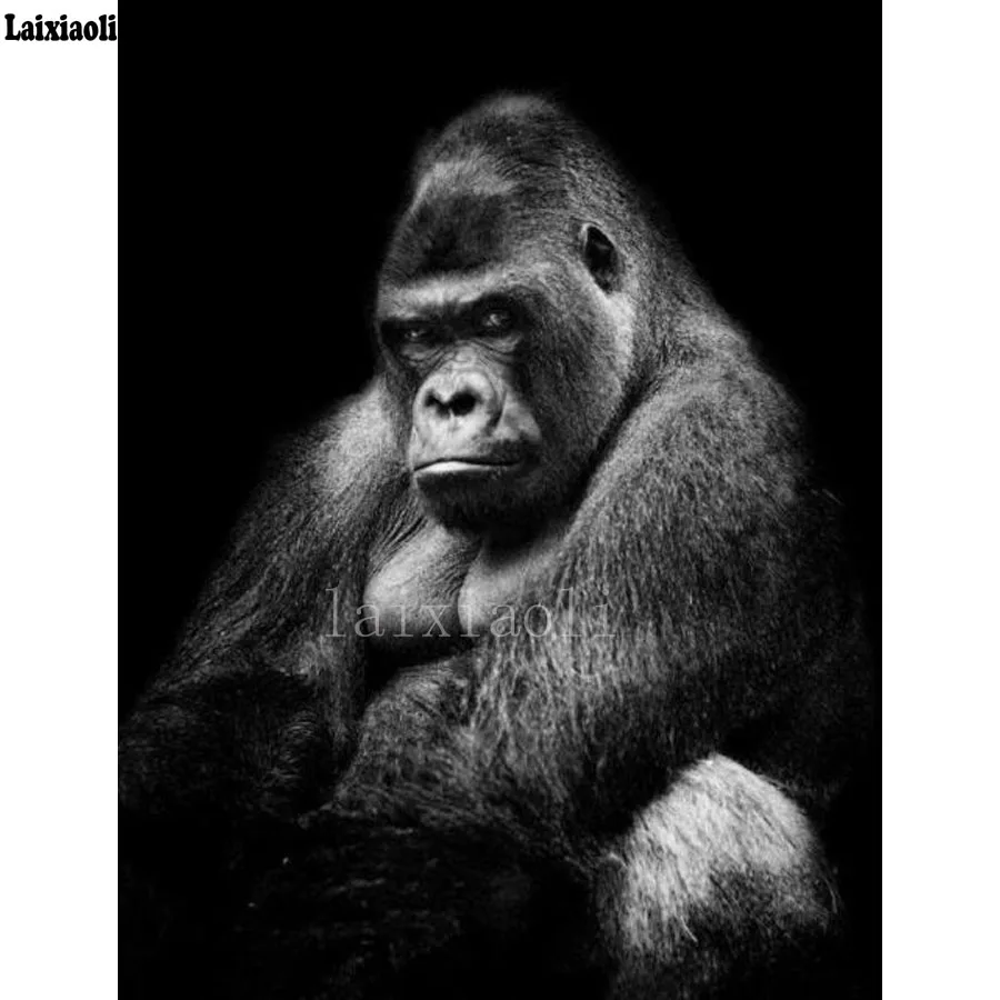 

5D DIY full round/square Diamond Embroidery Apes Orangutan Chimpanzee Monkey Diamond Painting Cross Stitch mosaic Home Decor art