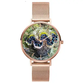 

Fashion Coral Shell Stainless Steel Mesh Band Women Casual Quartz Watch Gift Wholesale