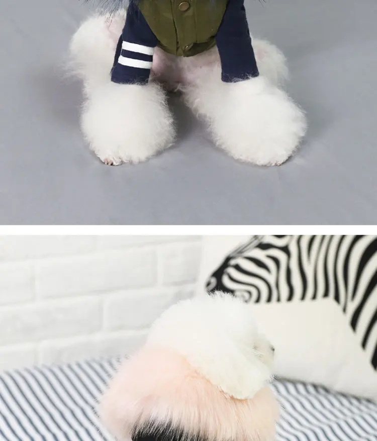 Luxury Dog Clothes (7)