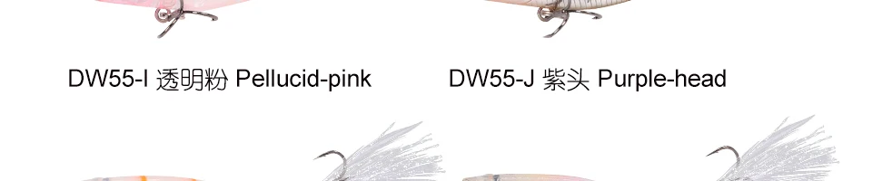 ENG_53