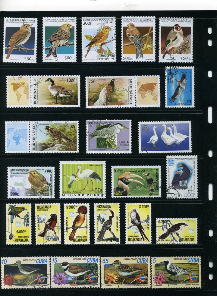 

50Pcs/Lot Bird Parrot Eagle All Different From Many Countries NO Repeat Unused Postage Stamps for Collecting