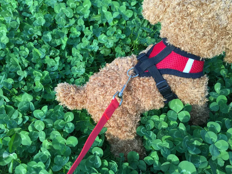 2705312811_135618790