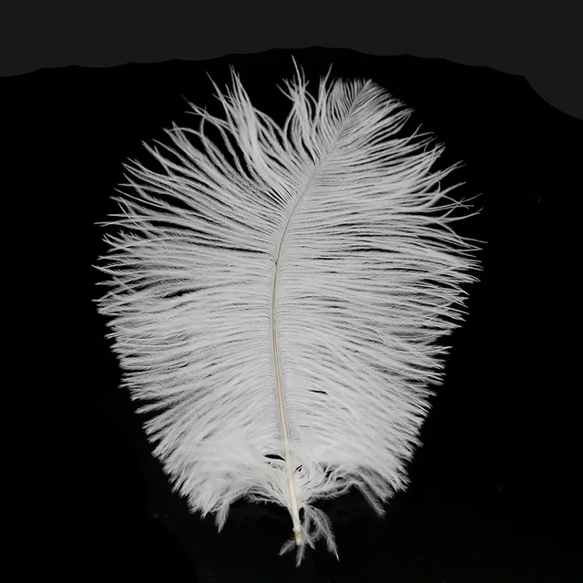 10 Pcs Bulu Burung Unta Yang Diwarnai Warna Warni Untuk Diy