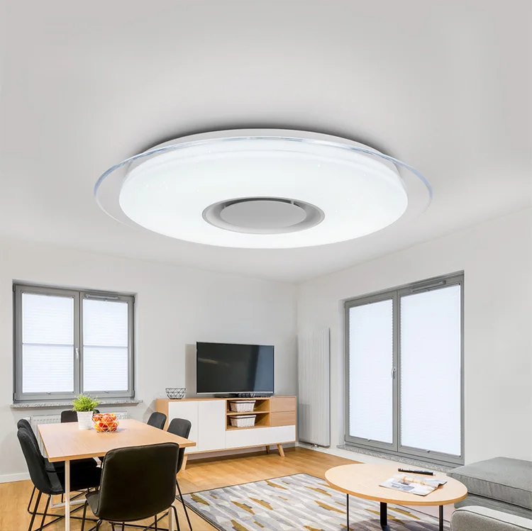 Smart Round Metal Ceiling Light