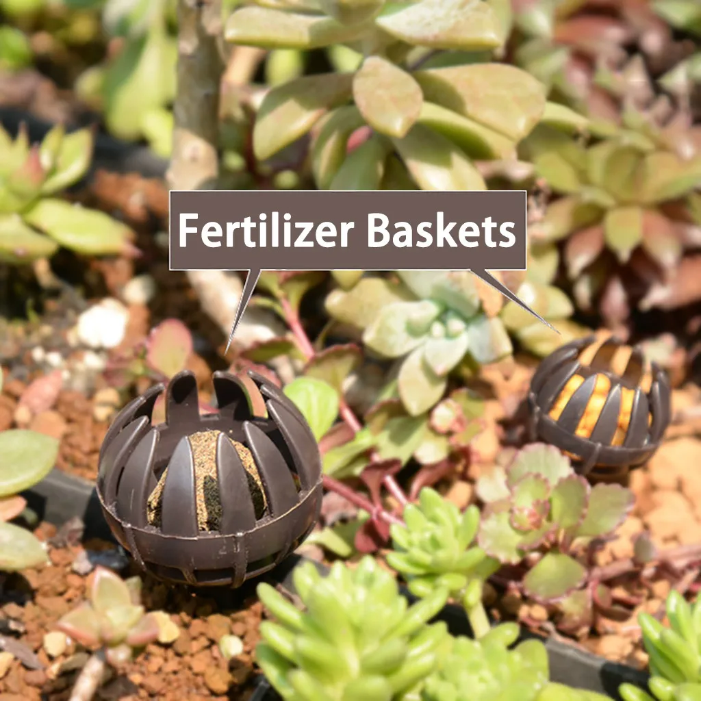 

10Pcs Fertilizer Baskets Pot Bonsai Orchids Vanda Plants Tree