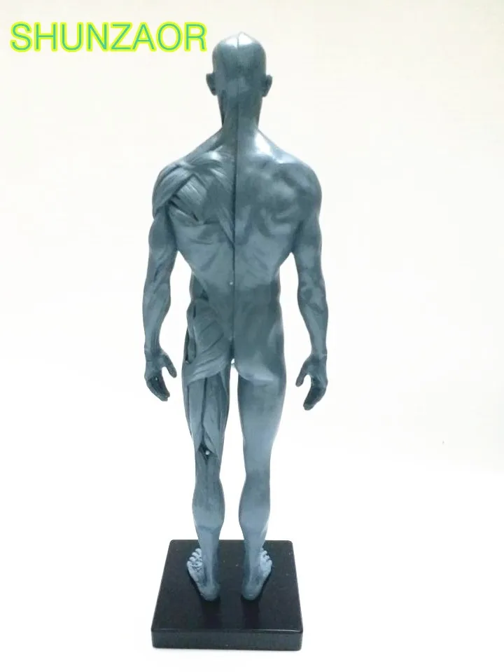 1_