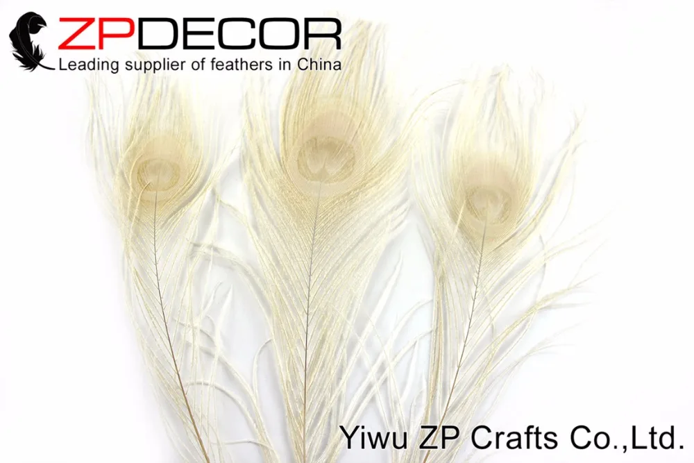 ZPDECOR 50 шт./лот 25 30 см (10 12 дюймов) ручной выбор красивые цвета слоновой кости