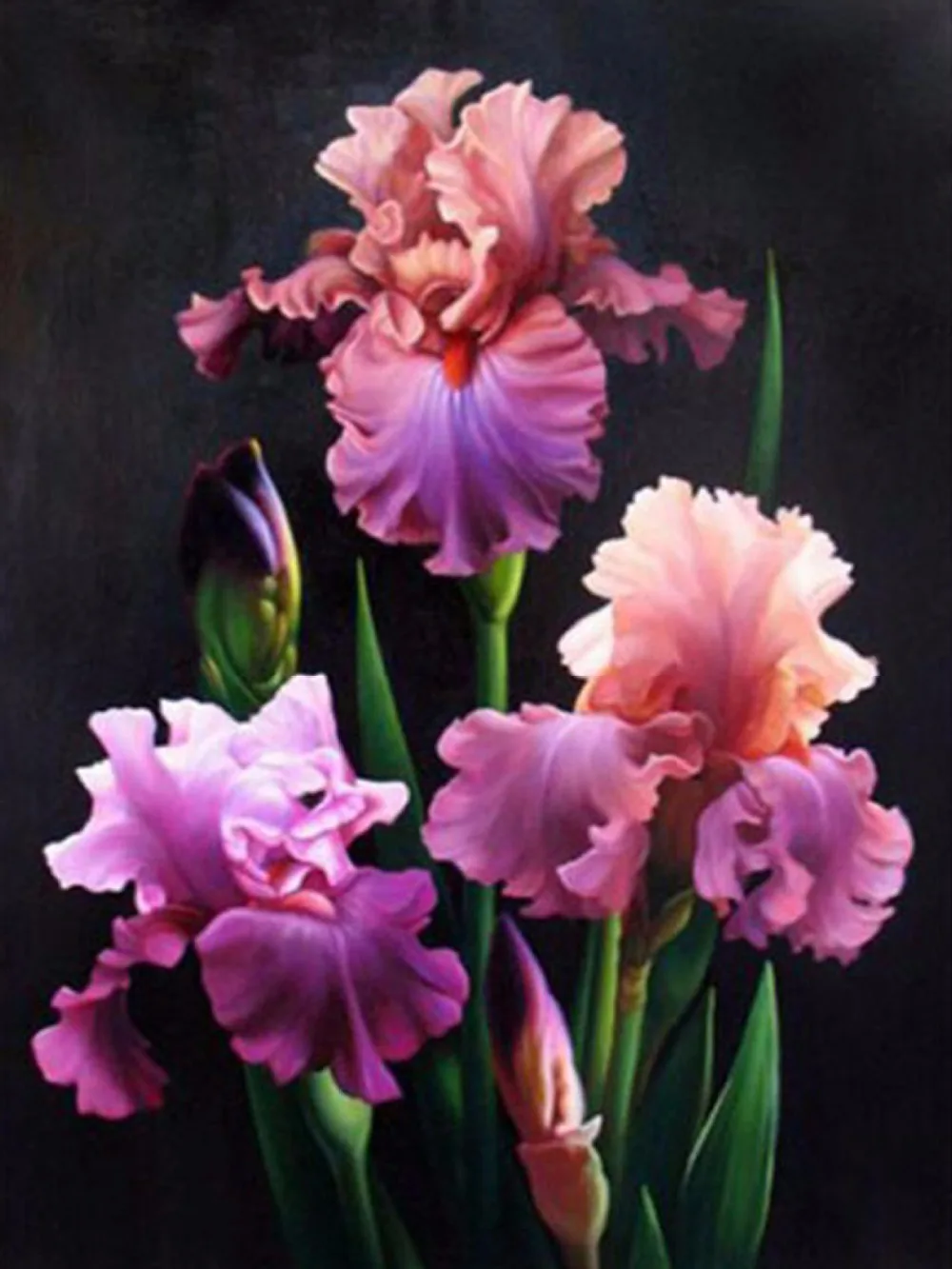 

Diamond Embroidery Flowers Diamond Painting Cross Stitch Kits Full Square Resin Diamond Mosaic Home Decoration