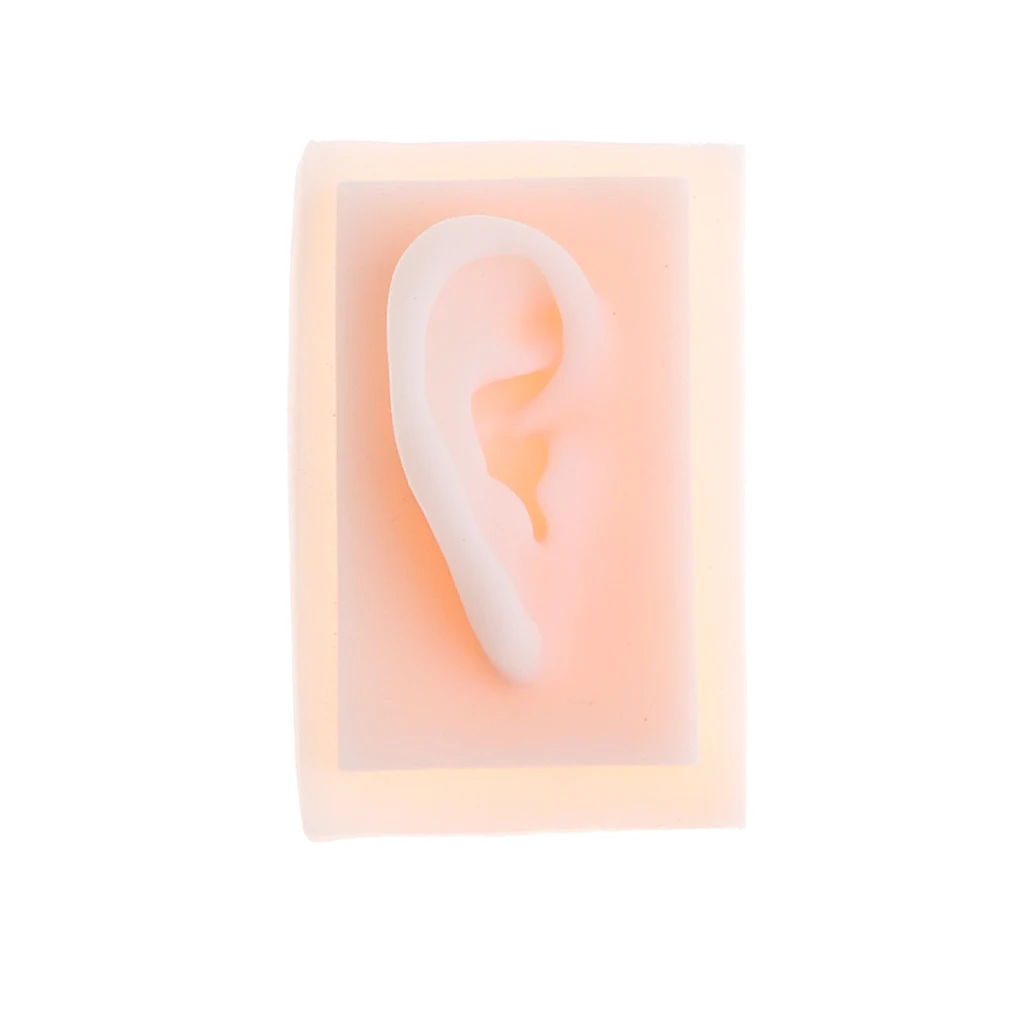 1:1 Lifesize Silicone Human Left & Right Acupuncture Ear Model School Medical Study Kit